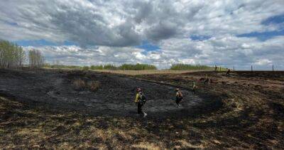 Alberta wildfires: Mayor of Yellowhead County wants provincial election postponed - globalnews.ca - county Yellowhead