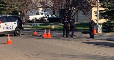 Man suspected in fatal stabbings of mother, child in Edmonton dies - globalnews.ca
