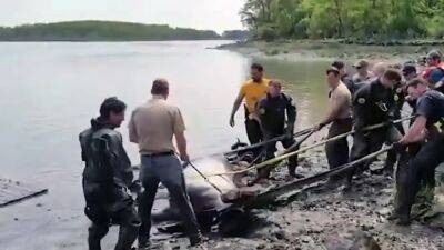 NYPD rescues horse in the Bronx stuck in muddy water - fox29.com - New York - county Bronx