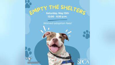 Empty the Shelters: All adoption fees waived at Pennsylvania SPCA animal shelters - fox29.com - state Pennsylvania