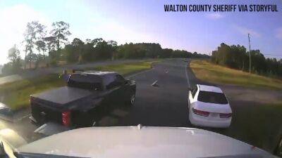Watch: Driver stops on busy Florida highway for turtle crossing road, causes multi-vehicle crash - fox29.com - Usa - state Florida - county Walton