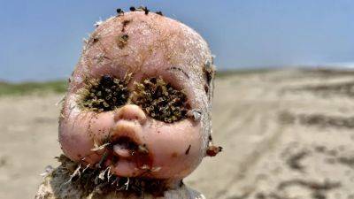 Unusual Texas beach discoveries, including creepy dolls, set for auction - fox29.com - state Texas - county Park