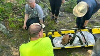 Firefighters rescue dog that jumped 34 feet from tower at Connecticut state park - fox29.com - Washington - state Connecticut - county Park - county Parke