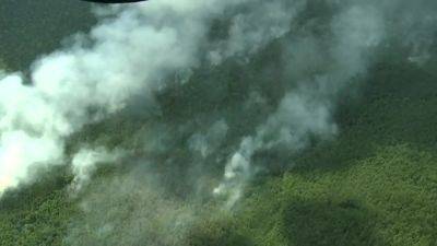 Acorn Hill Wildfire: Crews battling fire burning in Burlington County forest - fox29.com - state New Jersey - county Burlington - county Forest