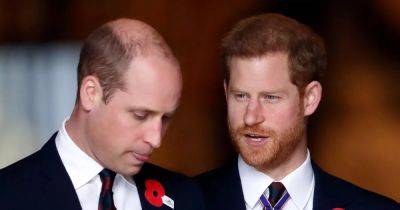 Harry Princeharry - prince Harry - prince William - William's harsh reaction to Harry's panic attack that 'devastated' his brother - ok.co.uk - county Prince William