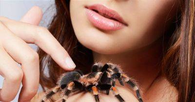 Is your body butter attracting spiders? Here's what experts say about the TikTok-viral theory - ok.co.uk
