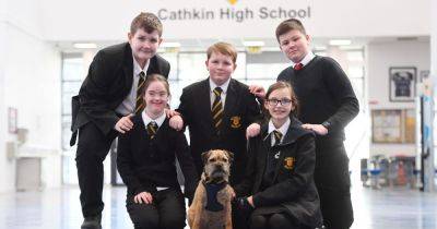 Cathkin High is first school in South Lanarkshire with an assistance therapy dog - dailyrecord.co.uk - Britain - county Lynn - county Blair