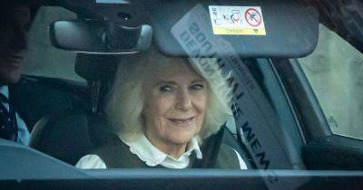 Rishi Sunak - Kate Middleton - Charles - queen Camilla - Charles Iii - Smiling Camilla visits King Charles in hospital as he recovers from prostate operation - ok.co.uk - county King - county Charles