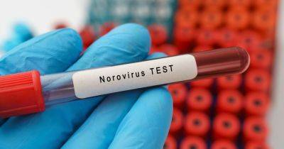 Norovirus vaccine to be trialled in Scotland as volunteers wanted - dailyrecord.co.uk - Britain - Scotland - county Patrick