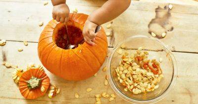 Parents urged to feed pumpkin leftovers to babies as expert reveals amazing health benefits - dailyrecord.co.uk - Britain - county Rich