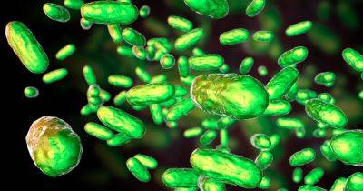 Plan to keep deadly legionella bacteria out of Falkirk Council water underway - dailyrecord.co.uk