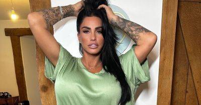 Katie Price - Katie Price slams 'plain Jane' trolls as she defends her surgery and huge pout - ok.co.uk - Brazil
