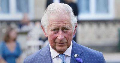 prince William - Charles - queen Camilla - Charles Iii III (Iii) - Real reason King Charles' significant health update was made at 6pm - ok.co.uk - Japan - county Prince William - county King And Queen
