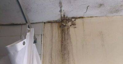 Family fear for health in Glasgow flat riddled with damp and 'black mould' - dailyrecord.co.uk - Kurdistan