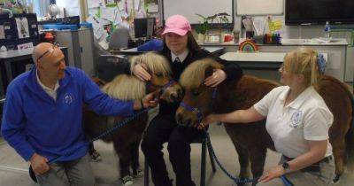 Coatbridge school Buchanan High welcomes therapy ponies, marks Lots of Socks Day and aces St Andrew's Ready for Life Programme - dailyrecord.co.uk
