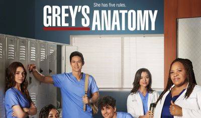 'Grey's Anatomy' Season 21 Cast Updates: 2 Actors Leaving, 16 Stars Expected to Return With a Catch - justjared.com