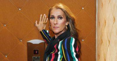 Celine Dion - Celine Dion gives health update - 'I don't know if I'll be able to sing again' - ok.co.uk - city Las Vegas
