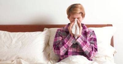 Sleep expert's simple tip to help reduce symptoms of hay fever at night - manchestereveningnews.co.uk - Britain