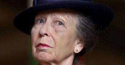princess Anne - Anne Princessanne - princess Royal - Princess Anne makes surprise return to royal duties after five nights in hospital following horse injury - ok.co.uk - Britain