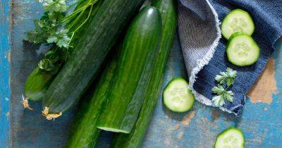 'I'm a health expert and this is why you need to try TikTok's viral cucumber salad recipe' - dailyrecord.co.uk