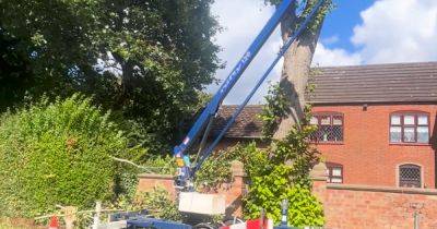 Pensioner, 84, shuns expensive tree surgeon fees and decides to lob branches off himself - dailyrecord.co.uk