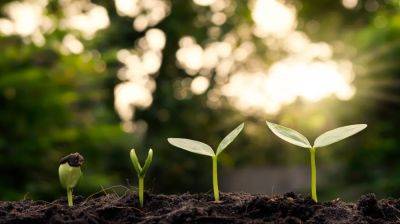 3 Essential Books That Launched the Sustainable Business Movement - curiousmindmagazine.com