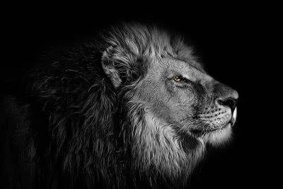 XENOPHON • Self-Awareness - theutopianlife.com